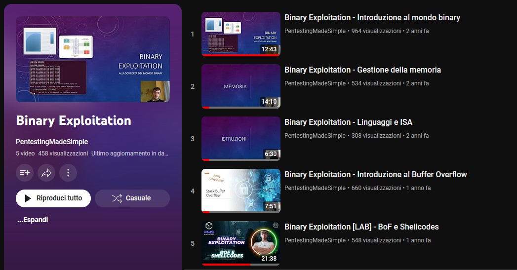 Pwn Binary Exploitation